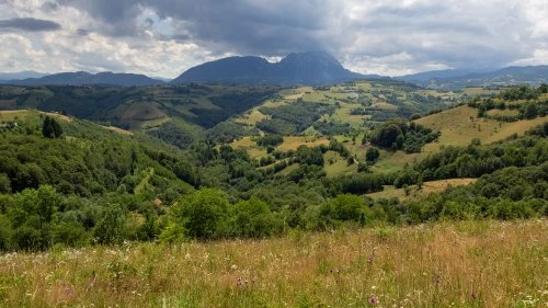 Șinca Nouă - Poiana Mărului