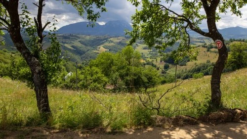 Șinca Nouă - Poiana Mărului