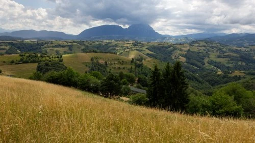 Șinca Nouă - Poiana Mărului