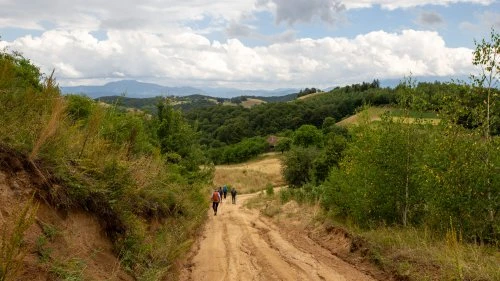 Șinca Nouă - Poiana Mărului
