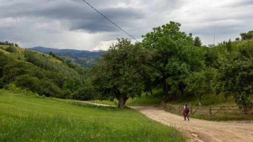 Șinca Nouă - Poiana Mărului