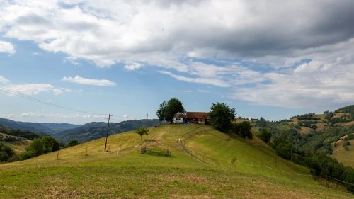 Șinca Nouă - Poiana Mărului