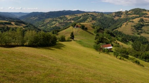 Șinca Nouă - Poiana Mărului
