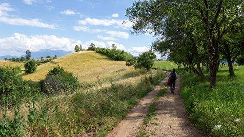 Șinca Nouă - Poiana Mărului