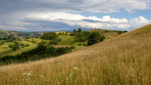 Șinca Nouă - Poiana Mărului