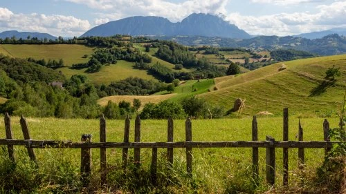 Șinca Nouă - Poiana Mărului