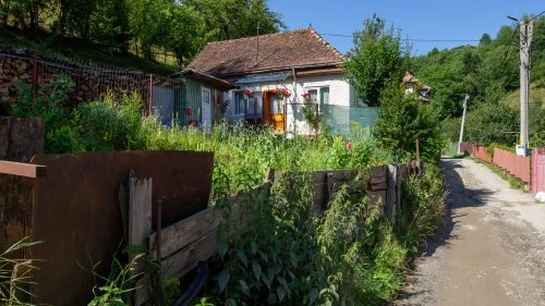Poiana Mărului - Bran