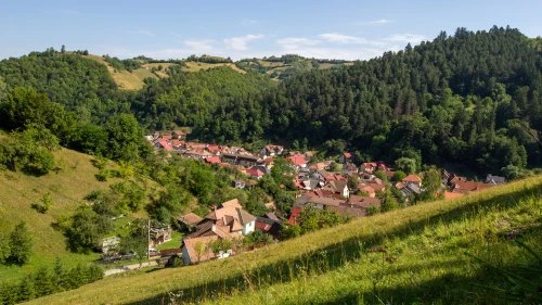 Poiana Mărului - Bran
