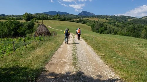 Poiana Mărului - Bran
