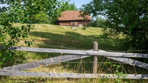Poiana Mărului - Bran