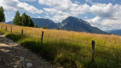 Poiana Mărului - Bran