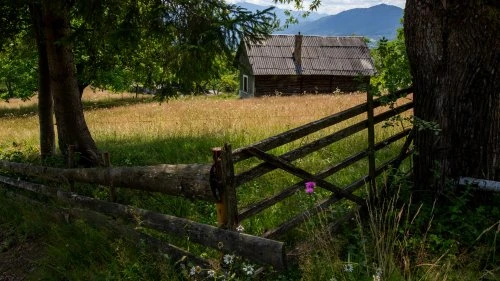 Poiana Mărului - Bran
