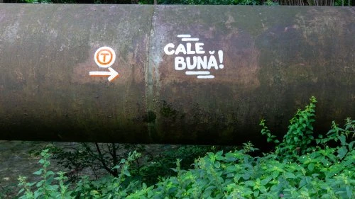 Poiana Mărului - Bran