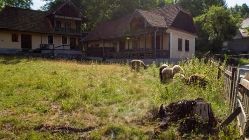Bran - Râșnov