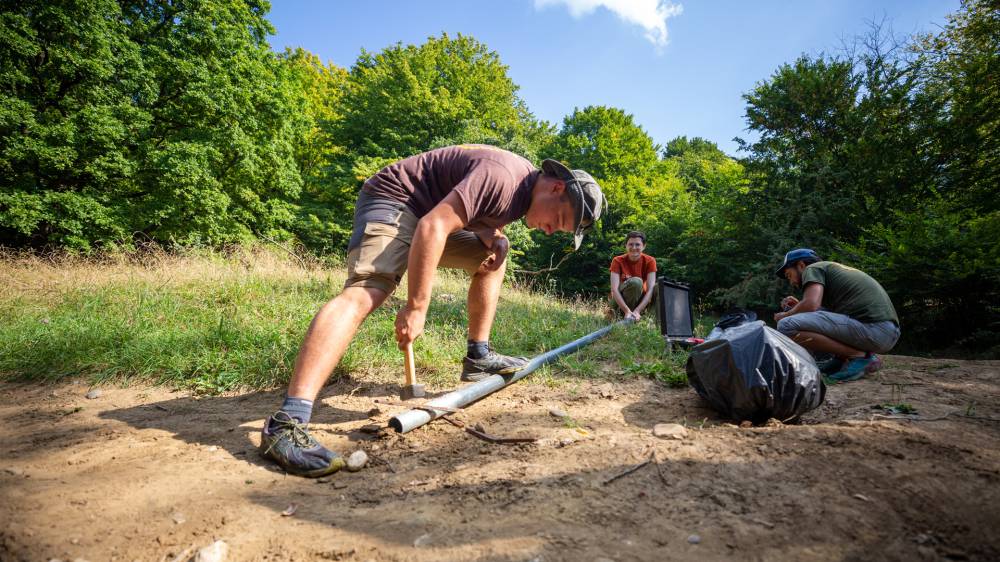 Parinti adoptivi de km