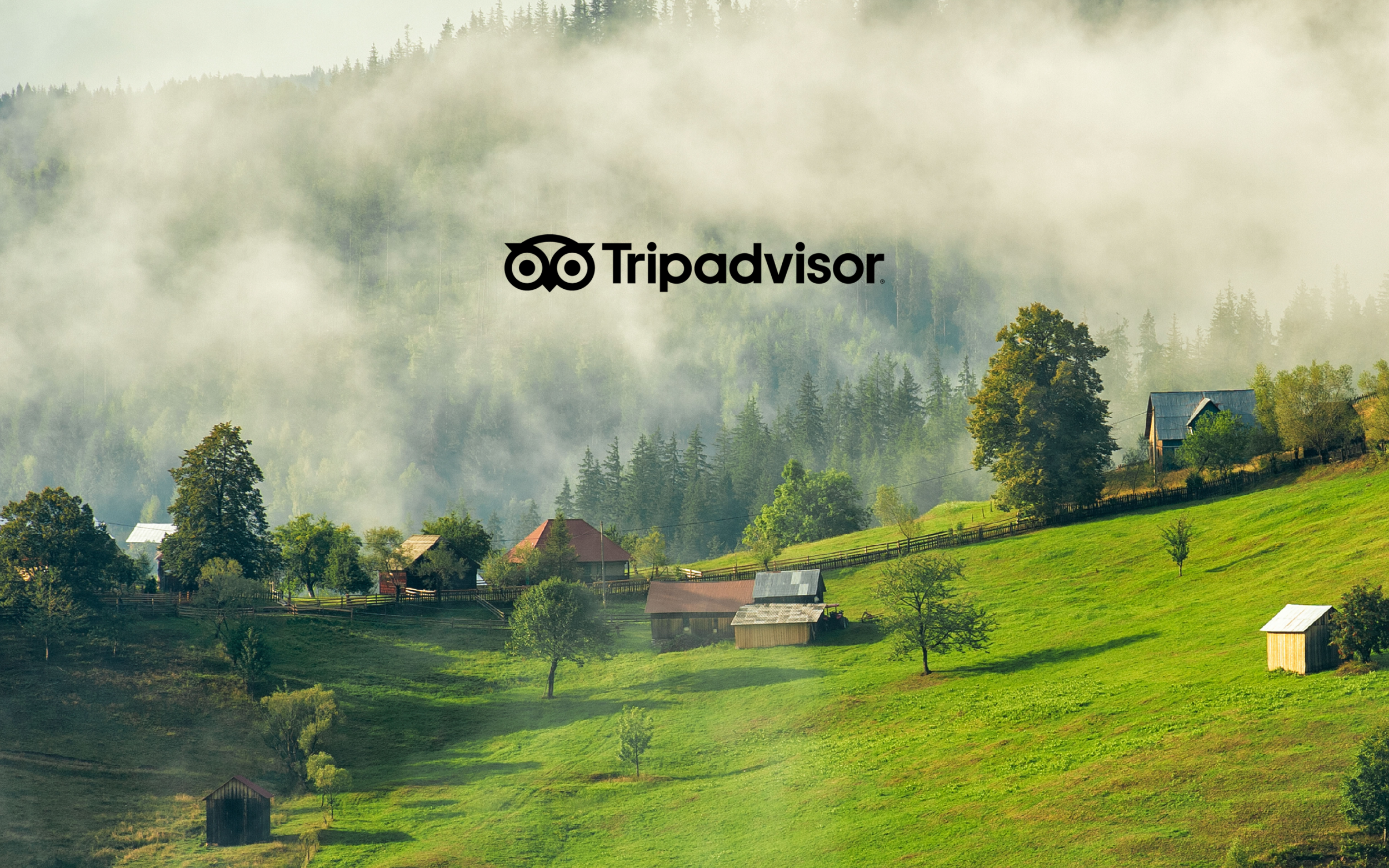 Via Transilvanica is on Tripadvisor! 