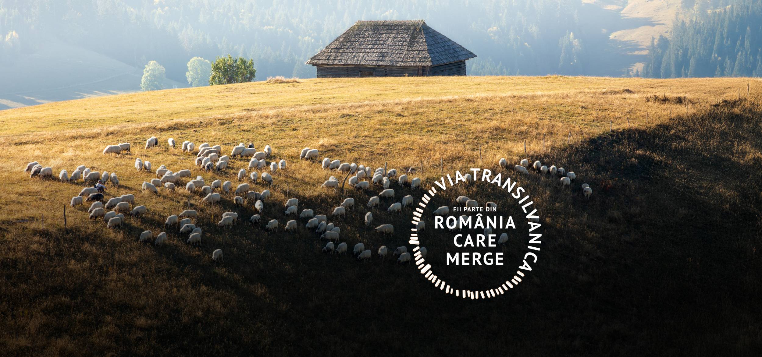 O lume care merită să nu dispară