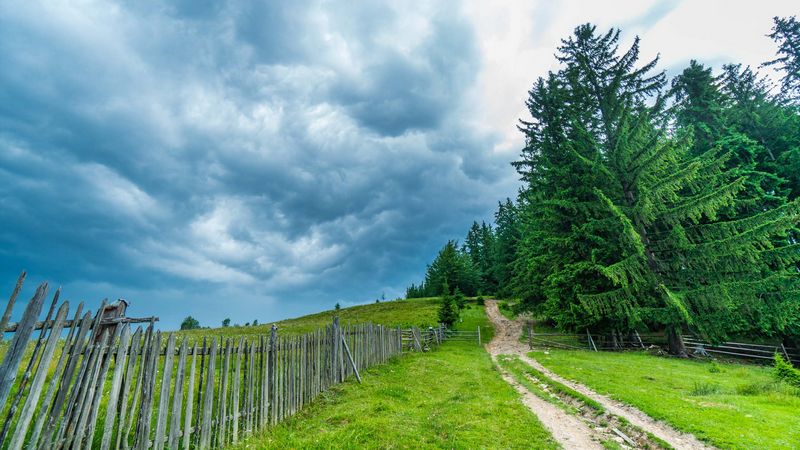 Bucovina